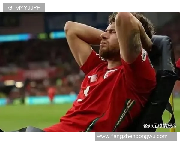 比利时对阵威尔士精彩直播全程回顾与赛后分析