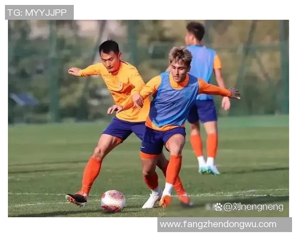 围绕球队发展与竞技状态分析，探讨球队内部管理与战术布局对成绩的深远影响