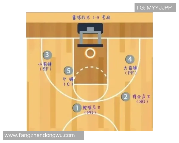 探索球类运动的魅力与发展:从传统到现代的全方位解析 探索球类运动的魅力与发展:从传统到现代的全方位解析