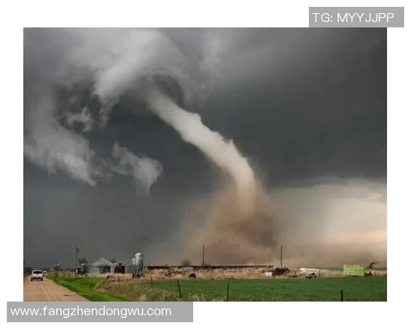 雷霆之力：探寻自然现象背后的科学奥秘与神秘魅力