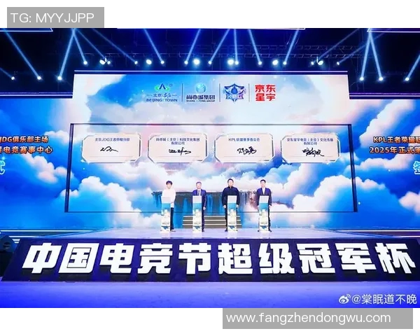 JDG战队在王者荣耀赛事中的经验革新与战术演变探讨