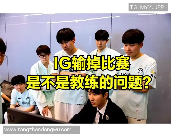 赛后分析：IG与TES实力对比及未来发展方向探讨