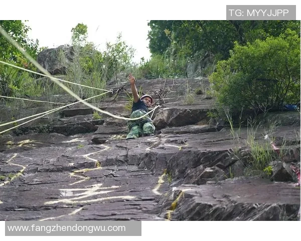 重庆攀岩队团队协作引发热议背后的争议与反思