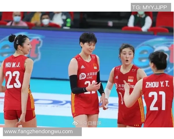 广州排球队在杯赛中的节奏掌控与表现分析