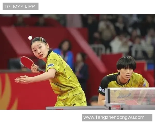 杭州乒乓球队反击战术解析与实战应用探讨