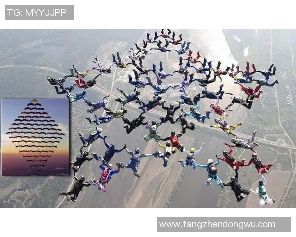 极限运动战术与团队协作：广州极限运动队的成功运营模式解析