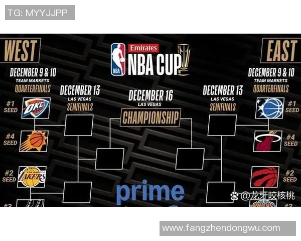 近十年NBA总冠军球队和赛季表现总结